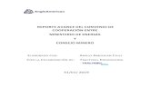 REPORTE AVANCE DEL CONVENIO DE COOPERACIÓN ENTRE … · 2019-08-06 · reporte avance del convenio de cooperaciÓn entre ministerio de energÍa y consejo minero elaborado por: anglo