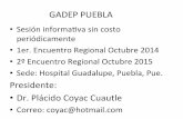 GADEP PUEBLA - Epilepsia Hoyepilepsiahoy.com/Asociaciones/Grupo_Puebla.pdf · Neuroimagen en Epilepsia. Dr. Nicolás González Hernández. Utilidad del Electroencefalograma en Epilepsia