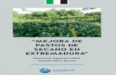 Autores - Agronews Castilla y León · 2.- CARACTERÍSTICAS DE LOS PASTOS NATURALES DE EXTREMADURA La mayor parte de los pastos de secano de Extremadura, clasificados como Mediterráneos,