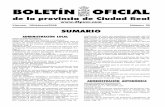 BOLETÍN OFICIAL · 2008-02-15 · BOLETÍN OFICIAL de la provincia de Ciudad Real Viernes, 15/febrero/2008 Número 20 SUMARIO ADMINISTRACIÓN LOCAL DIPUTACION PROVINCIAL SERVICIO