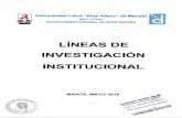 Universidad Laica Eloy Alfaro deManabí •• ~•••. .. l ...€¦ · dasificar1as en tres categorías: líneas en formación, líneas en proceso de consolidación, y líneas