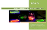INFORME EJECUTIVO - CIOportal.cio.mx/wp_2016/doctos/2013 informe ejecutivo.pdf · INFORME EJECUTIVO, OG 26-29, 0514 3 Figura 2. Distribución de investigadores en el SNI en los últimos