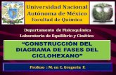 Universidad Nacional Autónoma de Méxicodepa.fquim.unam.mx/amyd/archivero/ppt-Diagrama-de-fases... · 2015-03-04 · laboratorio, el Pto. triple de la sustancia escogida (ciclohexano).