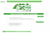 TRATAMIENTO DE DATOS · Tratamiento de datos Microsoft Excel 2010 Sesión 3 1. Crear y aplicar estilos Para mejorar el aspecto de formato a los datos y títulos, Excel nos proporciona