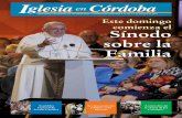 SEMANARIO DIOCESANO DE INFORMACIÓN Y FORMACIÓN … · apuntes La cuenta bancaria creada por la Diócesis de Córdoba para colaborar con la misión diocesana en Picota (Moyobamba,