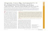 Magnetic Virus-like Nanoparticles in ARTICLE N ... (acs nano) 2011.pdf · HUANG ET AL . VOL. XXX ’ NO. XX ’ 000 Œ 000 ’ XXXX A C XXXX American Chemical Society Magnetic Virus-like