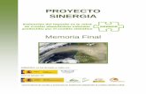 PROYECTO SINERGIA - AdapteCCa€¦ · Proyecto SINERGIA – Memoria final 3 1. Introducción. Se entiende por “cambio climático” a la variación del estado del clima identificable
