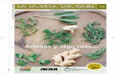 Aromas y algo más - Desarrollo idesarrolloi.org/.../uploads/2017/03/Hierbas-Aromaticas-y-sus-usos-IN… · hierbas aromáticas y yuyos. Introducir plantas aromáticas y medicinales