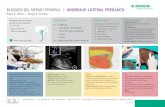 BLOQUEO DEL NERVIO FEMORAL | ABORDAJE LATERAL PREILÍACO · 2020-07-14 · ventral y látero-dorsal del nervio femoral. Tips-Técnica NS: la aguja entra con una dirección caudo-medial