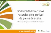 Presentación de PowerPointweb.fedepalma.org/sites/default/files/files/Fede... · •Paisajes forestales resilientes que benefician a la biodiversidad, las personas y el clima, incluido