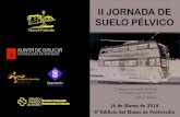 II JORNADA DE SUELO PÉLVICO - IIS Galicia Sur · II JORNADA DE SUELO PÉLVICO 16 de Marzo de 2018 6º Edi cio del Museo de Pontevedra “El futuro está oculto detrás de los hombres