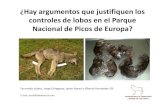 ¿Hay argumentos que justifiquen los controles de lobos en ...coordinadoraecoloxista.org/images/documentos/Hay argumentos qu… · filosofía del resto de Parques Nacionales del mundo,