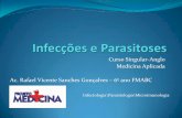Curso Singular-Anglo Medicina Aplicada Ac. Rafael Vicente … · 2017-04-10 · Doenças causadas por Bactérias - Sífilis (Treponema pallidum) - Cancro Mole (Haemophilus ducreyi)
