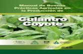 Culantro Coyote - mag.go.cr · El manual fue elaborado por la Comisión de Culantro Coyote, bajo la coordinación ... 48 p., 15,2 cm. x 22,8 cm. ISBN 978-9968-877-69-5 1. BUENAS PRACTICAS