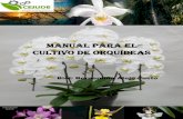 Manual para el cultivo de Orquídeas virtual/orquideas.pdf · Biól: Bernardina Alejo Justo . Consideraciones generales para el cultivo de orquídeas La familia de las orquídeas