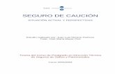 SEGURO DE CAUCIÓN...quiebra, y con la autorización para ejercer la actividad aseguradora en vigor (art. 22 RD 161 / 1997 y art. 57.1 RD 1098 / 2001), y que el Asegurador asume el