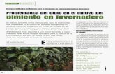 Problemática del oídio en el cultivo del pimiento en invernadero · 2011-05-05 · CULTIVOS PIMIENTO I ) Aspecto final tras la aplicación. AGRINAVA OLUCIONES INTEGRALES N TRACTORES