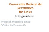 Comandos de servidores de linux - Ing. Juan Pablo Amaya Silva · Comandos básicos de Linux history CLEAR Muestra las entradas del historial En Bash, los últimos 500 comandos introducidos
