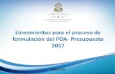 Lineamientos para el proceso de formulación del POA ......Lineamientos para la elaboración y validación de la ... vinculación de los objetivos estratégicos institucionales a los