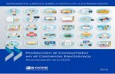 Protección al Consumidor en el Comercio Electrónico...El 24 de marzo de 2016, el Consejo de la OCDE revisó este instrumento y la Recomendación del Consejo sobre Protección del