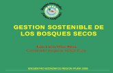 GESTION SOSTENIBLE DE LOS BOSQUES SECOS · 2020-01-25 · Bosque seco de montaña Bosques productivos Bosque seco de Llanura tiene una extensión de 1.160.822,78 ha (32.43%) Importancia