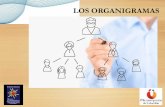 LOS ORGANIGRAMAS · 2020-03-28 · POR SU FINALIDAD Este grupo se divide en cuatro sub-tipos de organigramas: 1. Informativo: se denominan de este modo a los organigramas que se diseñan