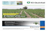 ESTRATEGIAS PARA EL CONTROL DE MALEZASde resistencia, en los últimos años, Syngenta lanzó herbicidas con doble modo de acción. Syngenta piensa en la próxima campaña de grano
