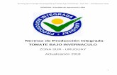 Normas de Producción Integrada - Uruguay · Normas para la Producción Integrada de Tomate bajo invernáculo - zona Sur – Actualización 2018 7 RECOMENDADO: – Análisis de suelo