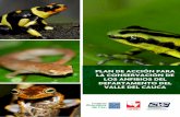 PLAN DE ACCIÓN PARA LA CONSERVACIÓN DE LOS ANFIBIOS … · 2015-02-24 · El Plan de Acción para la Conservación de los Anfibios del Valle del Cauca se formuló en alianza con