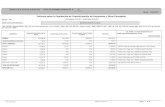 Informe sobre la liquidación de Coparticipación de Impuestos ......RPT-CI-2817-2817 14/02/2011 01:05:42 p.m. Página: 2 de 80 TOTALES Informe sobre la liquidación de Coparticipación