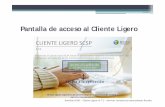 Pantalla de acceso al Cliente Ligero - Fegamp...Portfolio SCSP – Cliente Ligero v3.7.2 – Ser vicio Inexistencia Antecedentes Penales 10 Datos del Titular Se realizará la consulta