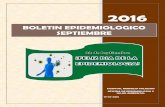 BOLETIN EPIDEMIOLOGICO ENERO · boletin epidemiologico septiembre del 2016 10 morbilidad en emergencia del mes de septiembre del 2016 diagnstico (dx) femenino masculino total general/dx