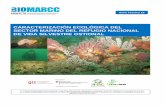 CARACTERIZACIÓN ECOLÓGICA DEL SECTOR MARINO DEL …biocorredores.org/corredoresbiologicos/sites/default/files/docs/... · Tabla 5 Caracterización de la zona rocosa intermareal