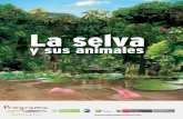 La Selva y sus Animales - d2ouvy59p0dg6k.cloudfront.net...La selva y sus animales Convenciones Coordinación editorial: Ferney Díaz Castañeda. Comunicaciones Programa Trinacional
