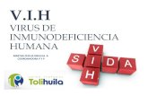 VIRUS DE INMUNODEFICIENCIA HUMANAportal.tolihuila.com/wp-content/uploads/2018/09/3... · El Virus de la Inmunodeficiencia Humana(VIH) fue descubierto y considerado como el agente