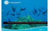 Pesquerías Sustentables en México: Incentivos y herramientas · Eco-certificación pesquera y acceso a mercados nicho de productos sustentables Básico: Organizaciones fuertes (cooperativas