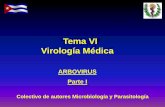 Tema VI Virología Médica - Infomeduvsfajardo.sld.cu/sites/uvsfajardo.sld.cu/files/arbovirus._parte_i.pdf · Objetivos. • Explicar las características generales de los arbovirus.