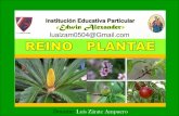 Presentación de PowerPoint · VI - Unidad : BIOLOGÍA Tema: REINO PLANTAE Es la rama de la BIOLOGÍA que se ocupa del estudio de las plantas. En el siglo IV a.C. TEOFRASTO, es considerado