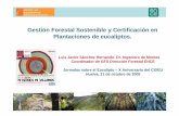 Gestión Forestal Sostenible y Certificación en ... · Gestión Forestal Sostenible y Certificación de Plantaciones de Eucaliptos. Jornadas sobre el Eucalipto – X Aniversario