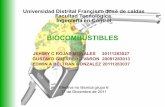 BIOCOMBUSTIBLESelectivaycontexto.wdfiles.com/local--files/ambiental/... · 2012-09-17 · QUE SON LOS BIOCOMBUSTIBLES Los biocombustibles son combustibles de origen biológico obtenido