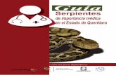 Serpientes - concyteq.edu.mx · analiza los datos epidemiológicos de casos de ofidismo atendidos en el hospital de autogestión SAMIC de El dorado, Misiones, Argentina, en el periodo