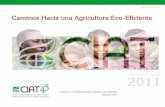 Caminos Hacia una Agricultura Eco-Eficienteciat-library.ciat.cgiar.org/Articulos_Ciat/annual_report/informe_anual... · eco-eficiente. Vista aérea de una zona de producción de arroz