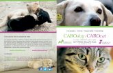 CompanionA nimal ResponsibleO wnership CAROdog CAROcatcarocat.eu/wp-content/uploads/2014/04/ES1.pdf · perros y gatos en Europa experimentan un gran sufrimiento. La sobrepoblación
