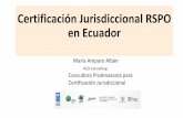 Certificación Jurisdiccional RSPO en Ecuadorcongresopalmeromexicano.com/femexpalma2020/static/... · Esfuerzos nacionales de reducción de la deforestación desde el 2008 • Fondos