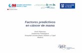 Factores predictivos en cáncer de mama · Perou, CM et al. Nature, 2000 Perreard, L et al. Breast Cancer Res, 2006. Commercially available multigene signatures in breast cancer Prat,