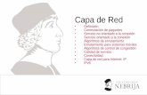 Capa de Red - Academia Cartagena991).pdf · •Conmutación de paquetes: • Servicios proporcionados a la capa de transporte • Servicios independientes de la tecnología del enrutador
