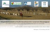 Pluri-actividad y multi-localización rural en Nicaraguaagritrop.cirad.fr/574167/2/document_574167.pdf · de tendencias encontradas en el Pacifico . Región de estudio = 6 comunidades