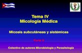 Tema IV Micología Médica - Infomeduvsfajardo.sld.cu/sites/uvsfajardo.sld.cu/files/iii... · 2017-02-02 · Micosis subcutáneas y sistémicas Parte II Colectivo de autores Microbiología
