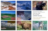 Centenario del Parque Nacional de Picos de Europa (1918-2018) · Casa del parque de Picos de Europa (sector occidental) “El Torreón de Puebla de Lillo”: guía del docente. Valladolid: