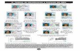 D. Tarjetas de identificación y licencias del RMV...2019/01/18  · Licencia de Menor Licencia de Menor de 21 años vigente de 21 años vigente del 2010 al 2016 158 D. Tarjetas de